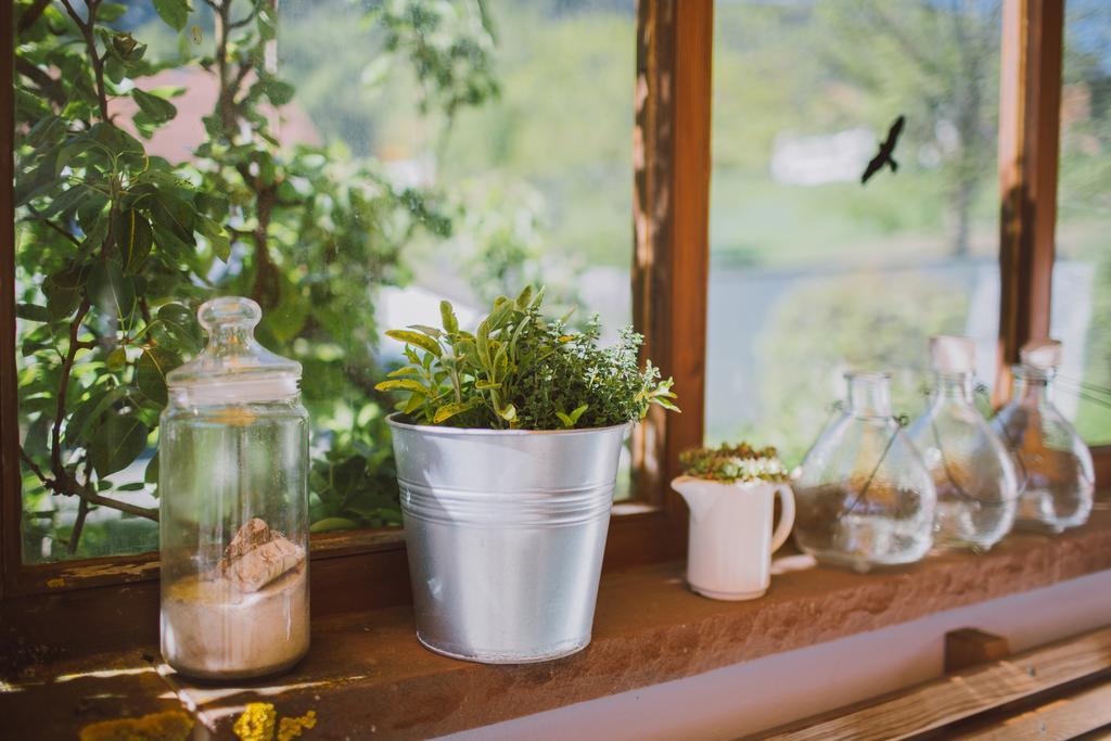 Dreimaederlhaus - Das Vegetarische Boutique Hotel 福森 外观 照片